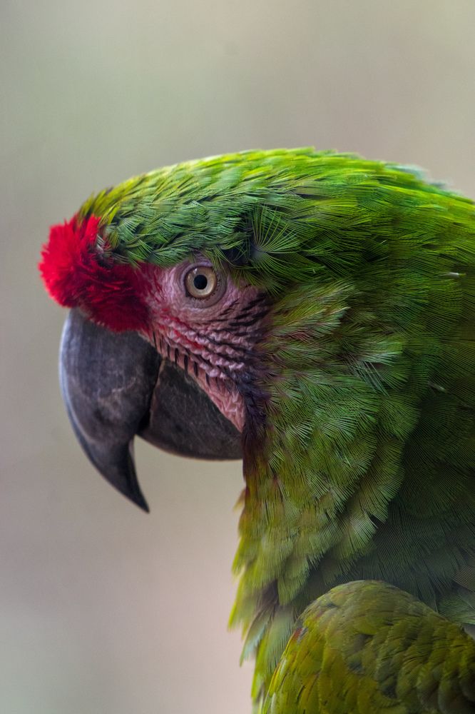 Photograph by Vikrant Khedekar