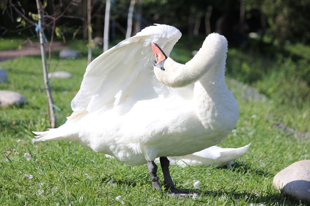Фотография автора Вячеслав