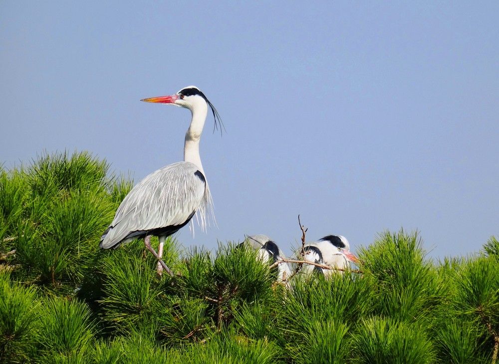 Photograph by Марина Раткун