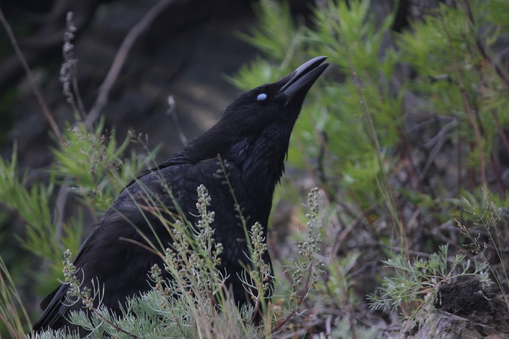 Фотография автора Вячеслав