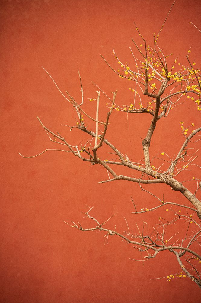 Photograph by 李长丰