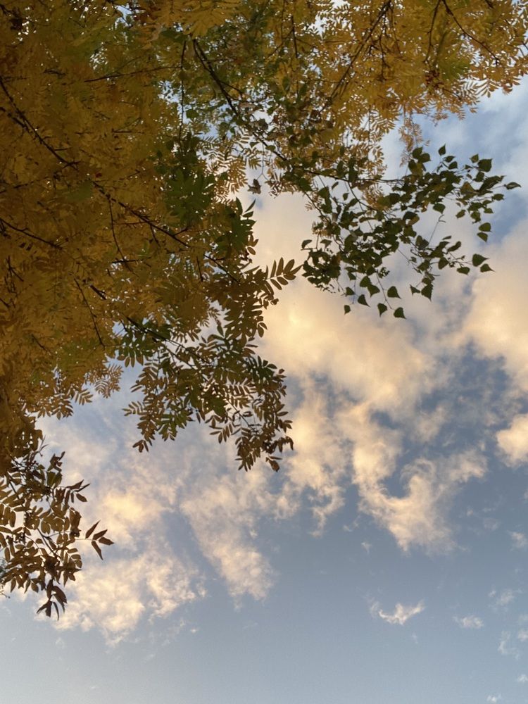 Photograph by Meline Mikoyan