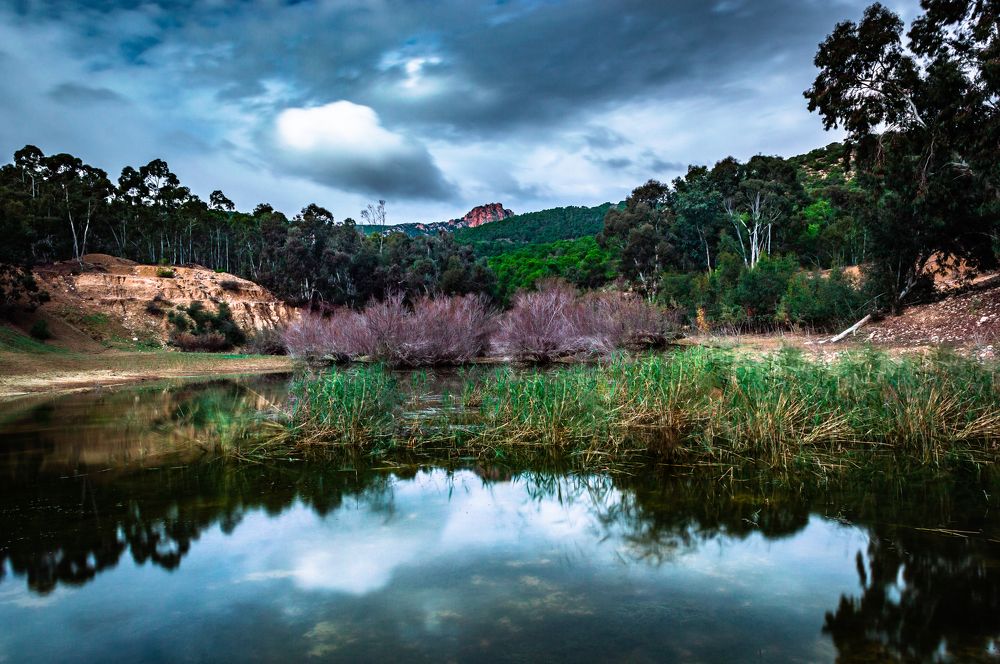 Photograph by Amine Be Romdhane