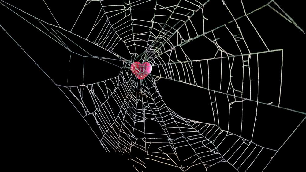 Photograph by Selina Marina