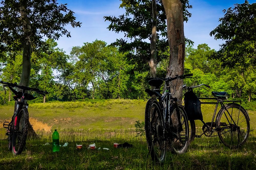 Photograph by Abu Darda