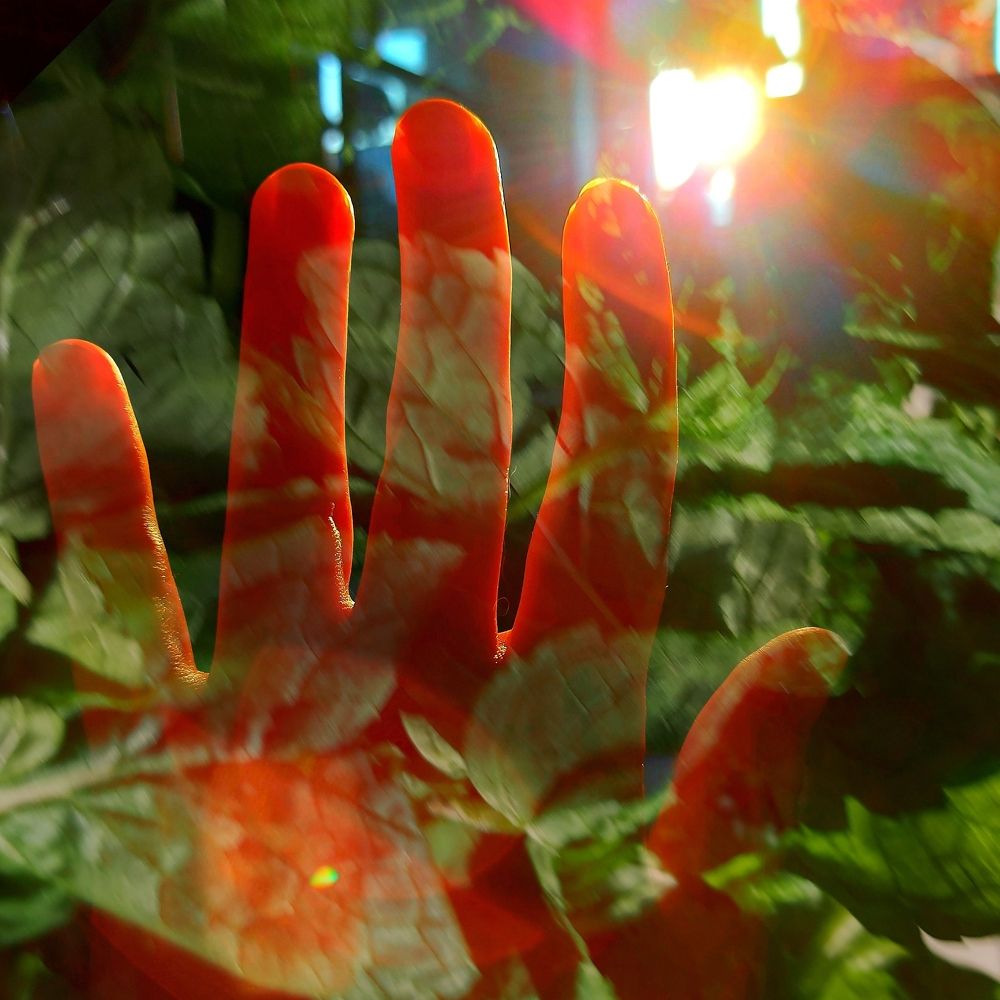 Открытость.