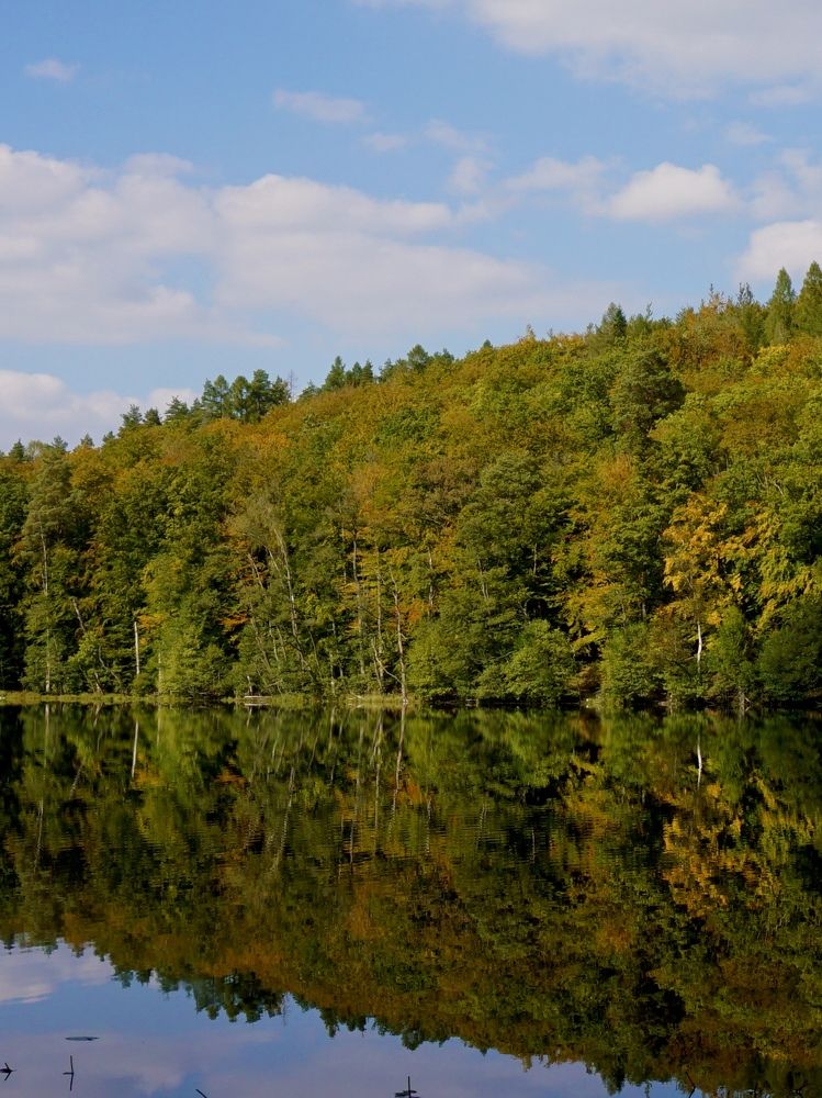 Photograph by Елена Зенкевич