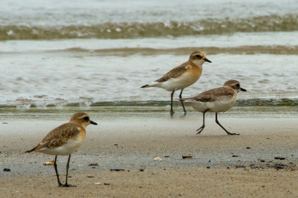 Photograph by Hà Thạnh