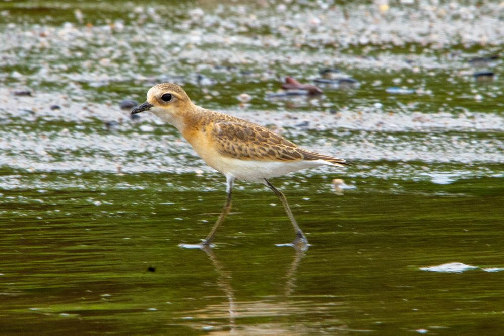 Photograph by Hà Thạnh
