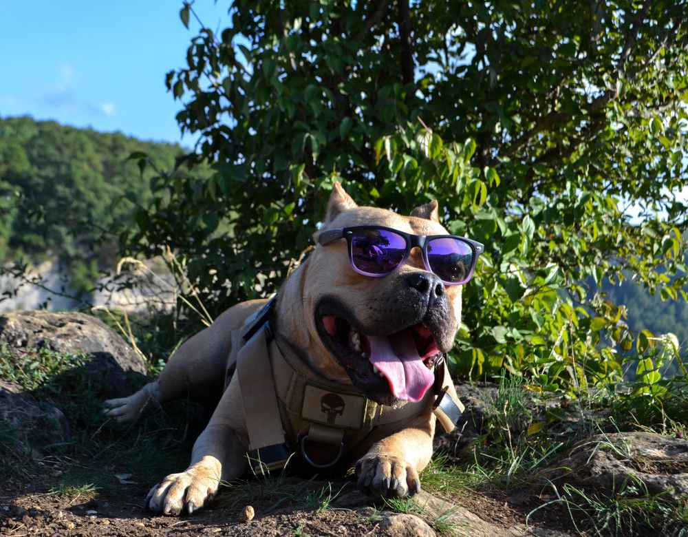 Photograph by Ульяна Митрофанова