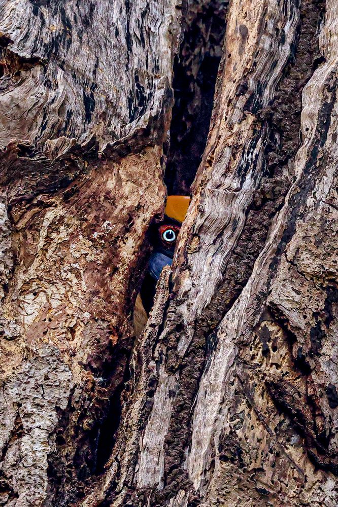 Фотография автора Suresh S S