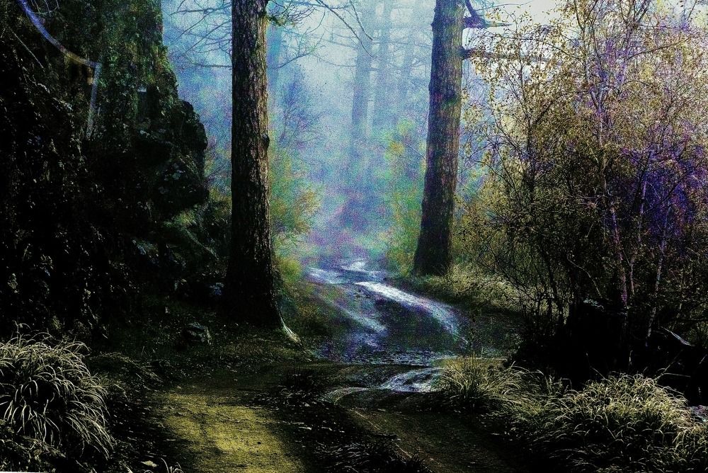 Photograph by Batsaikhan Badamdorj