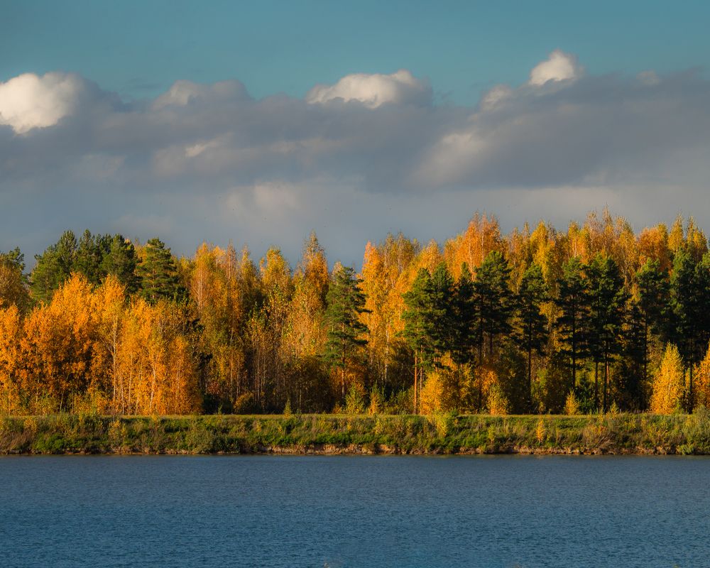 Фотография автора Evgeny Shlomov