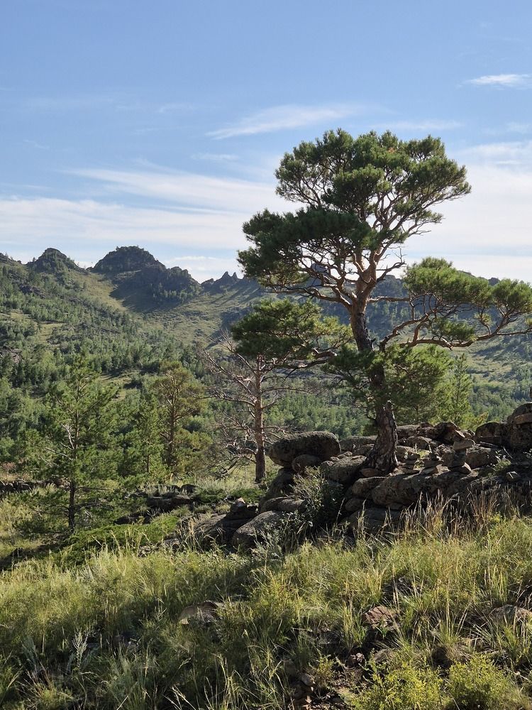 Фотография автора Валентина