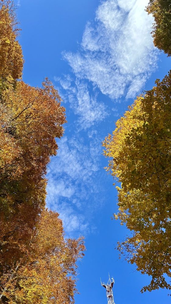 Photograph by Анастасия Рабочева