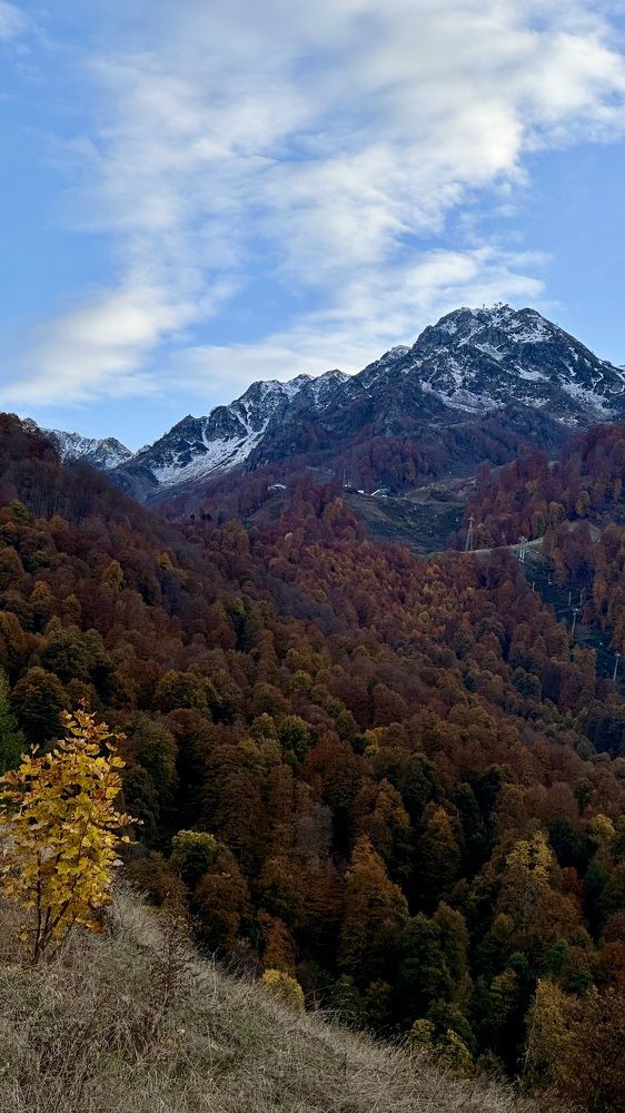 Photograph by Анастасия Рабочева