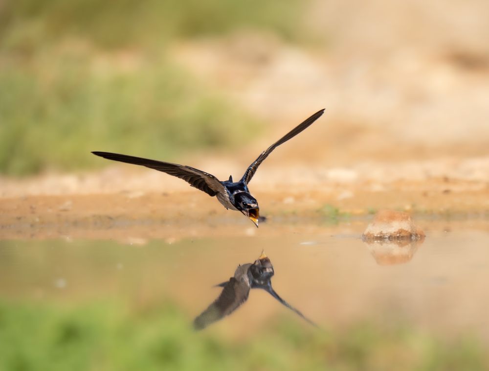 Photograph by Vladyslav Petrenko