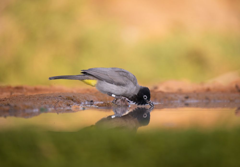 Photograph by Vladyslav Petrenko