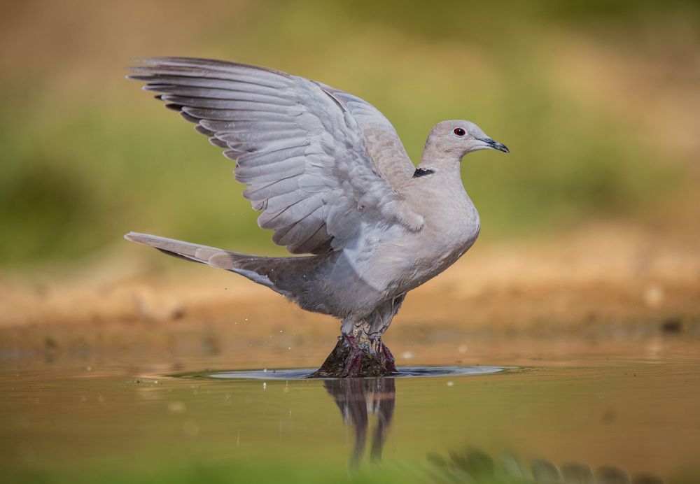 Photograph by Vladyslav Petrenko