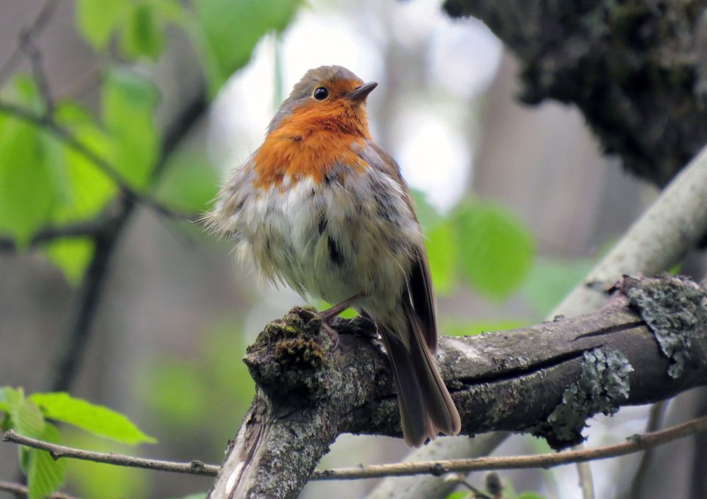 Photograph by Наталия Васильева