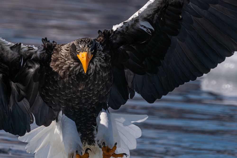 Photograph by Kurashima Daisuke