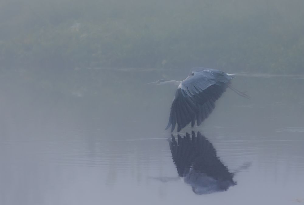 Photograph by Алексей Широбоков