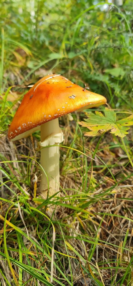 Photograph by Natasha Kim