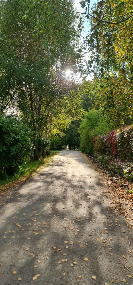 Photograph by Natasha Kim