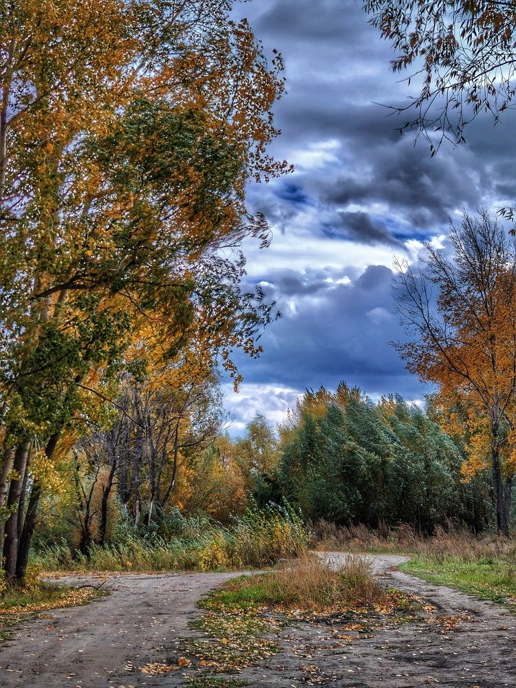 Photograph by Наталья Адалинская