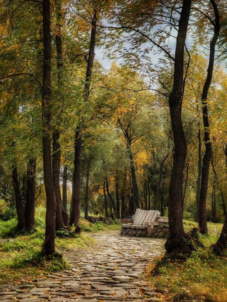 Photograph by Наталья Адалинская