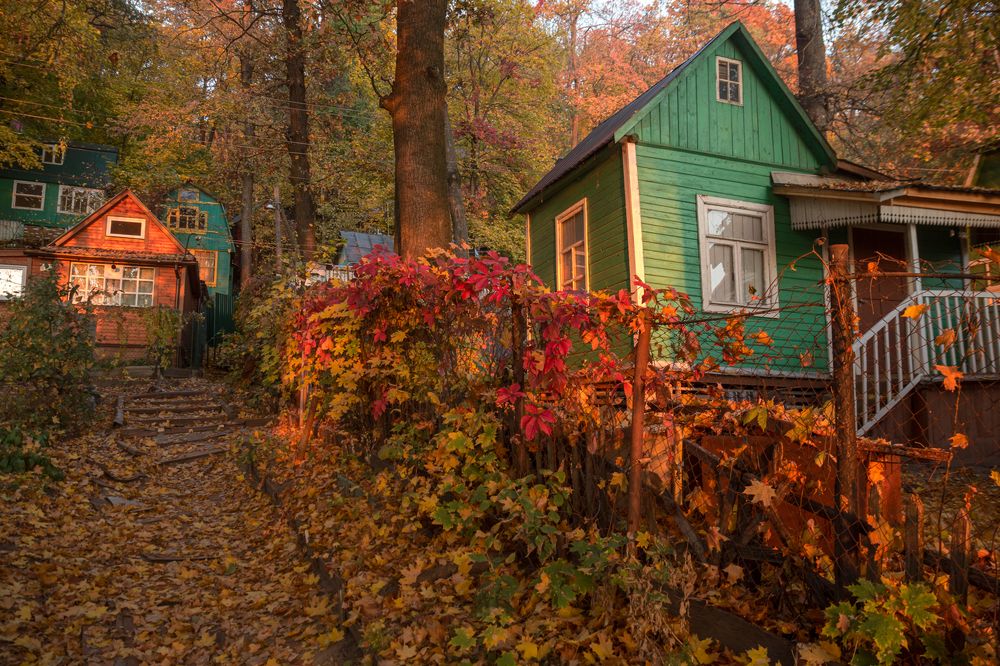 Photograph by Денис