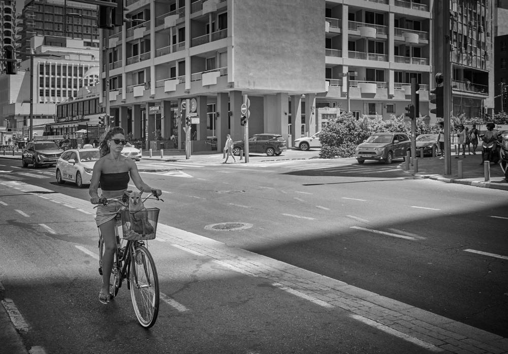 Фотография автора David Solodar