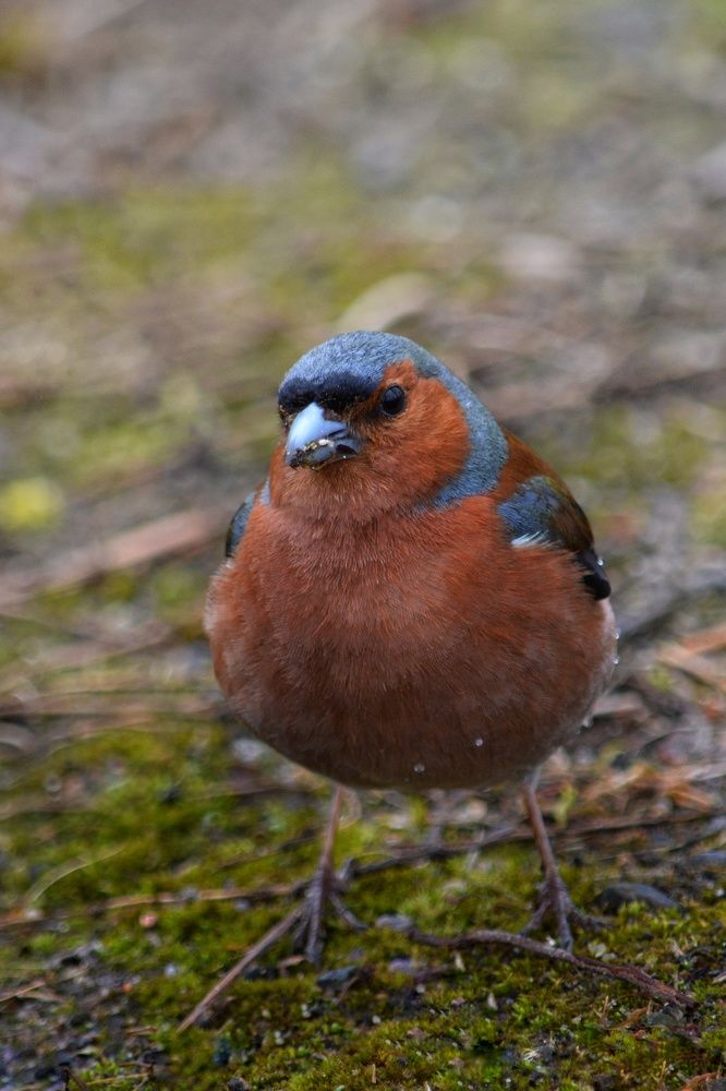 Photograph by Анна Зорька