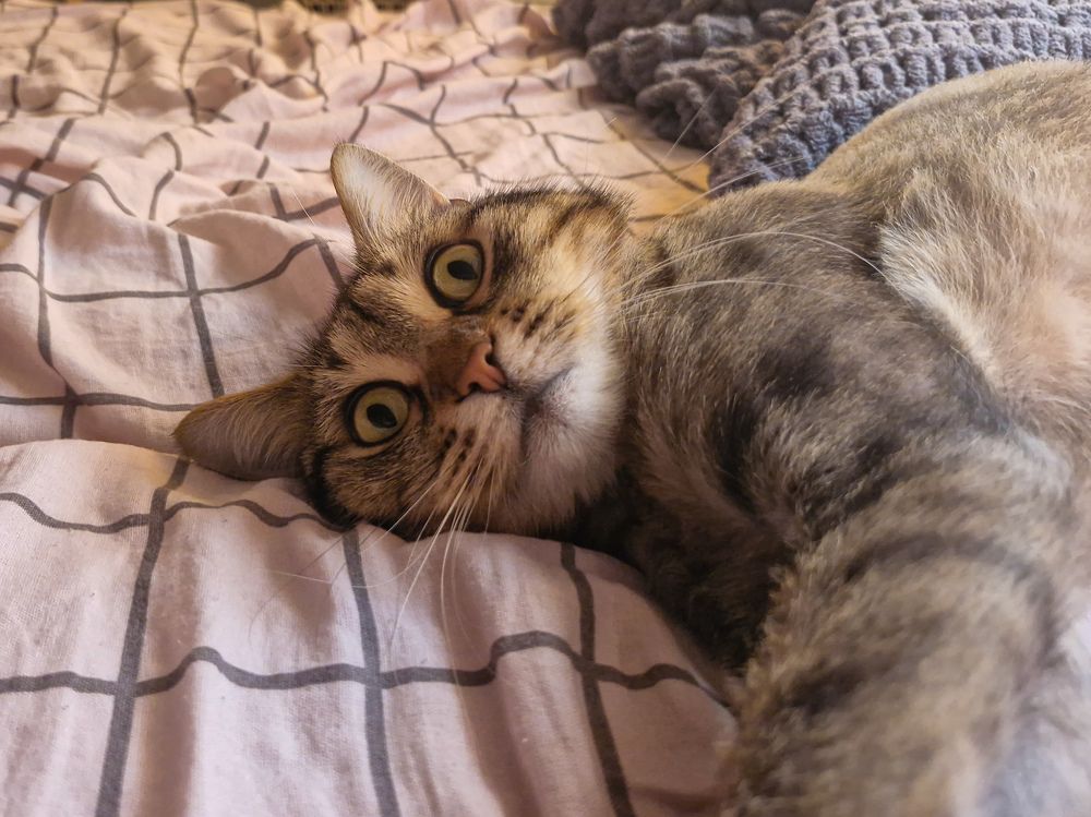 Photograph by Игорь Чечин