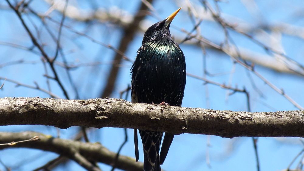 Photograph by Егор Чинарев