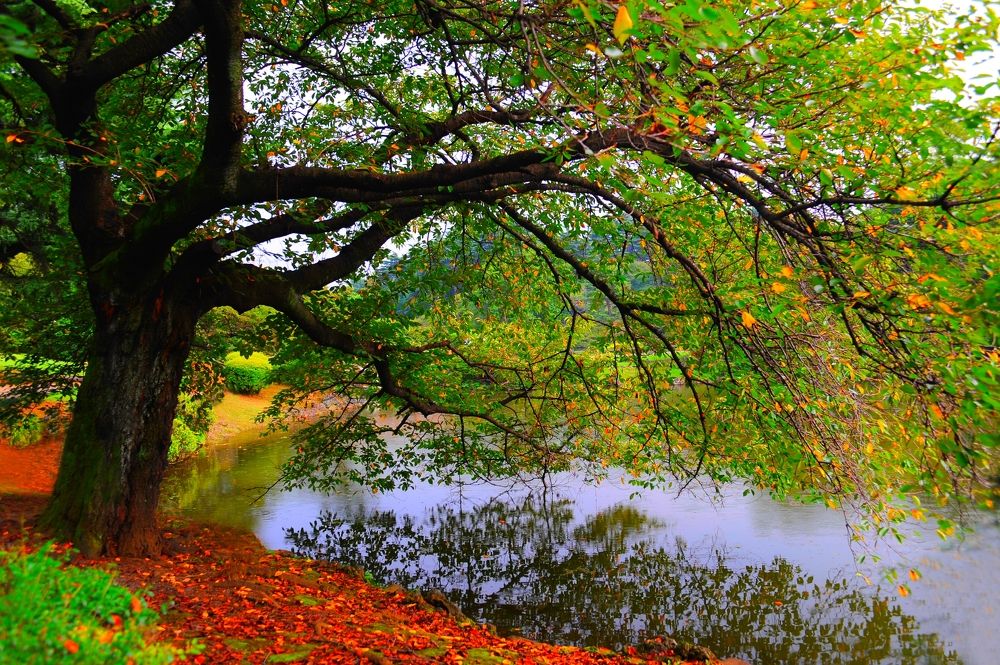 Photograph by Leka Huie