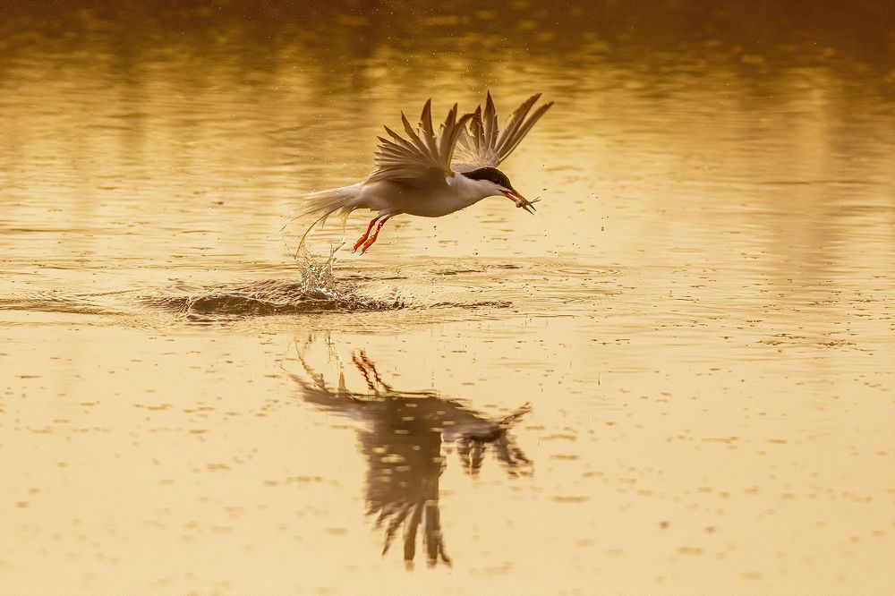 Photograph by Дмитрий Поршнев