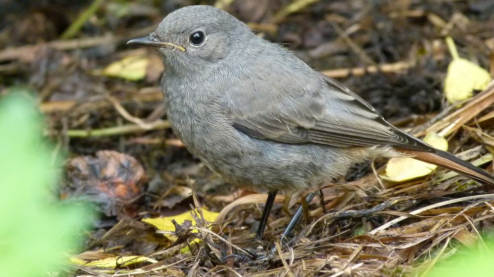Photograph by Егор Чинарев
