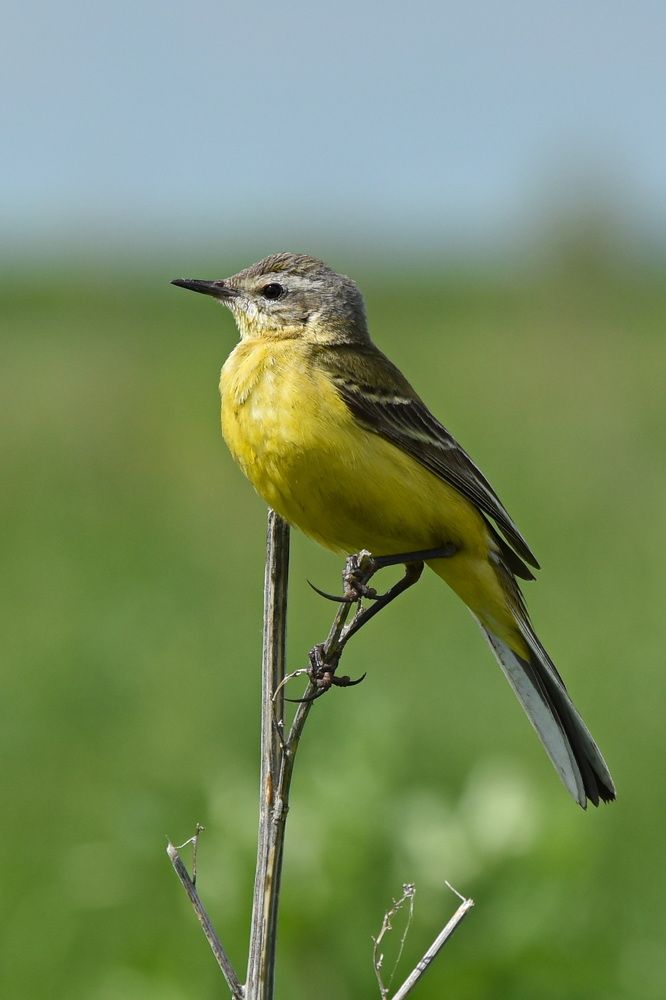 Photograph by Andrey