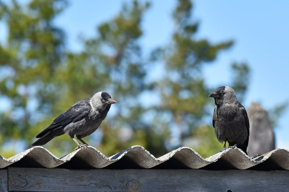 Photograph by Andrey