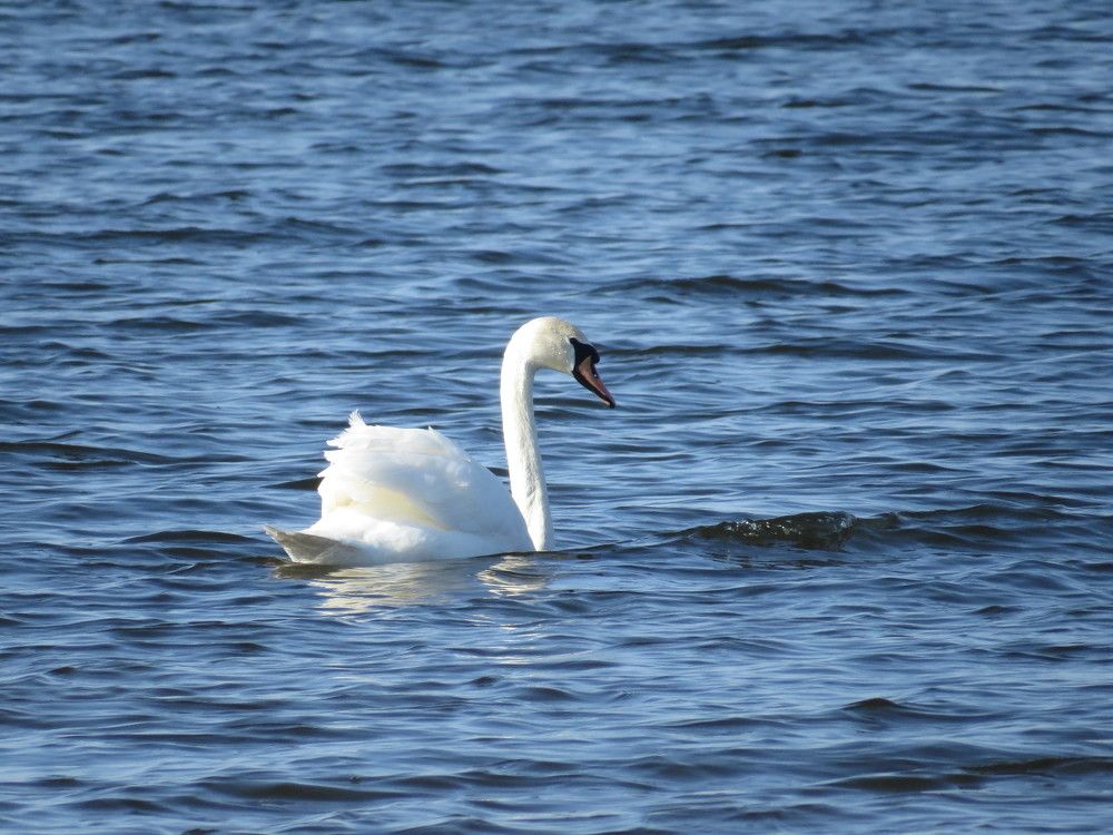 Photograph by Оксана Малахова