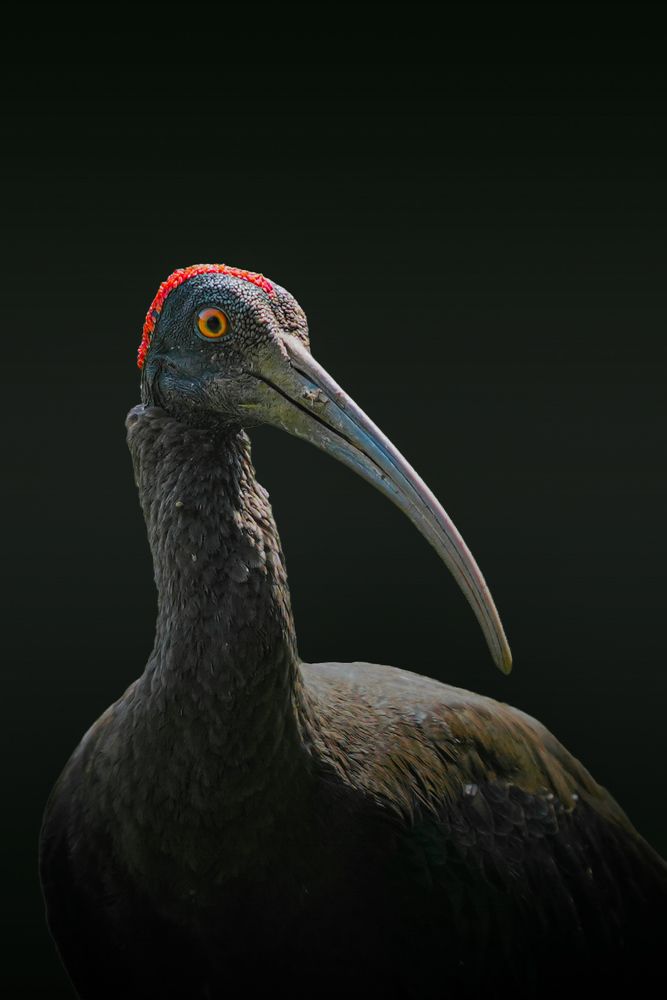 Photograph by HARSHIT MISHRA