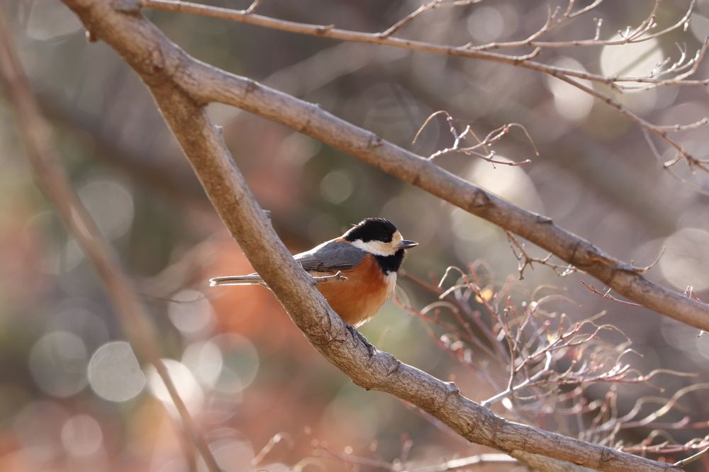 Photograph by Se Lena