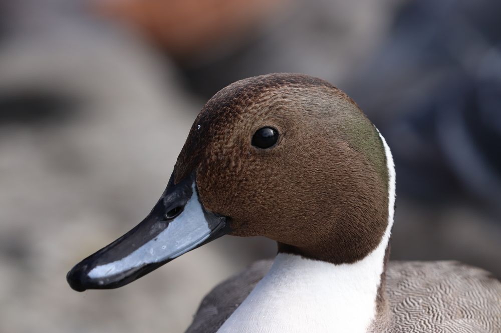 Photograph by Se Lena