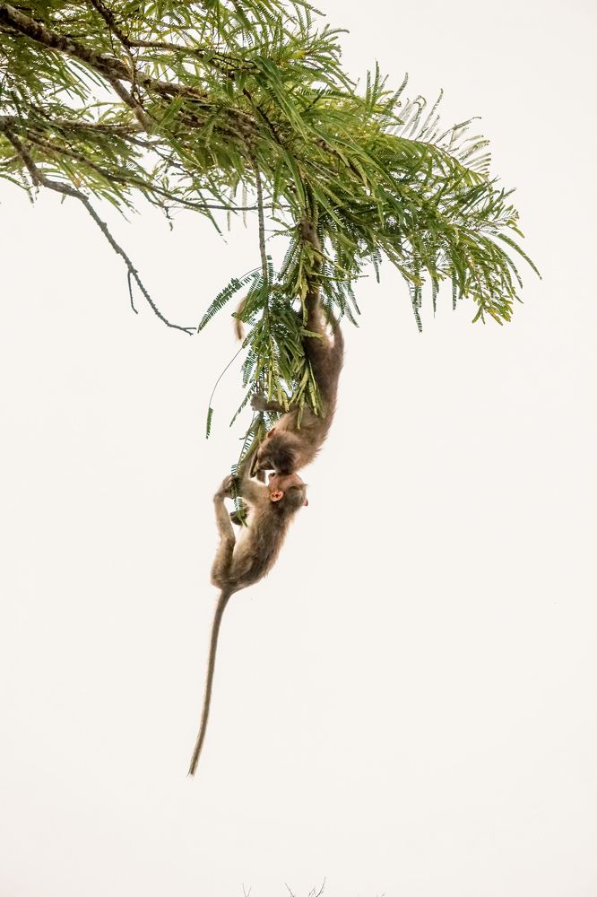 Photograph by AKHIL VU