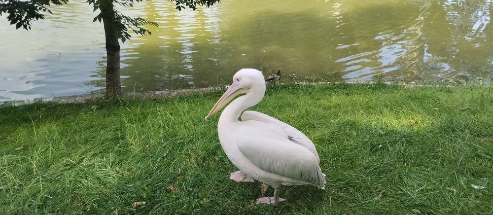 Photograph by Владислав Степанов