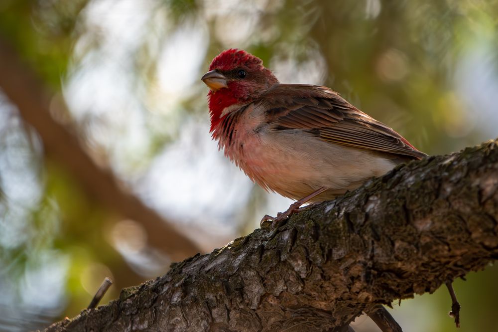 Photograph by Андрей Бородкин