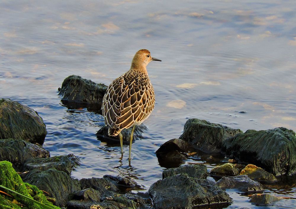 Photograph by Наталия Васильева