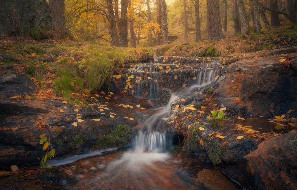 Photograph by Carlos Hernández Martínez