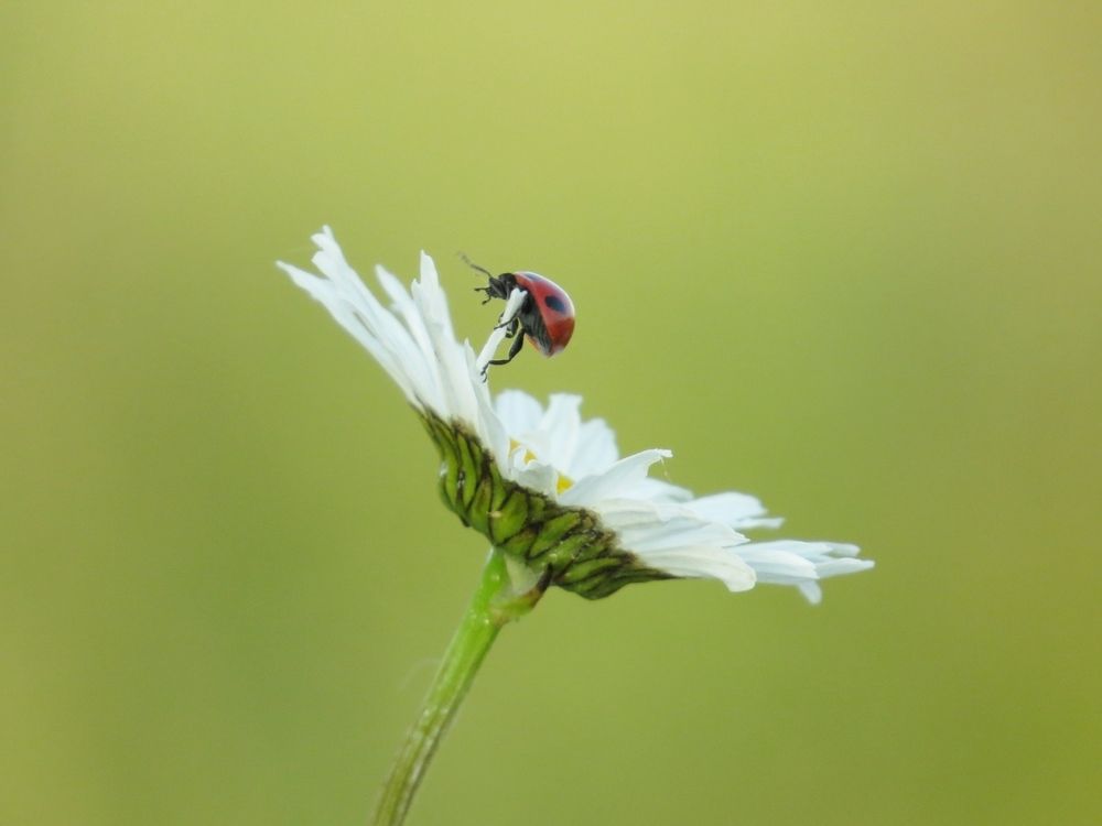Photograph by Elena Edeleva Еделева